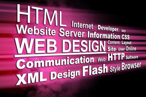 Freelance Web Designer in Kanpur